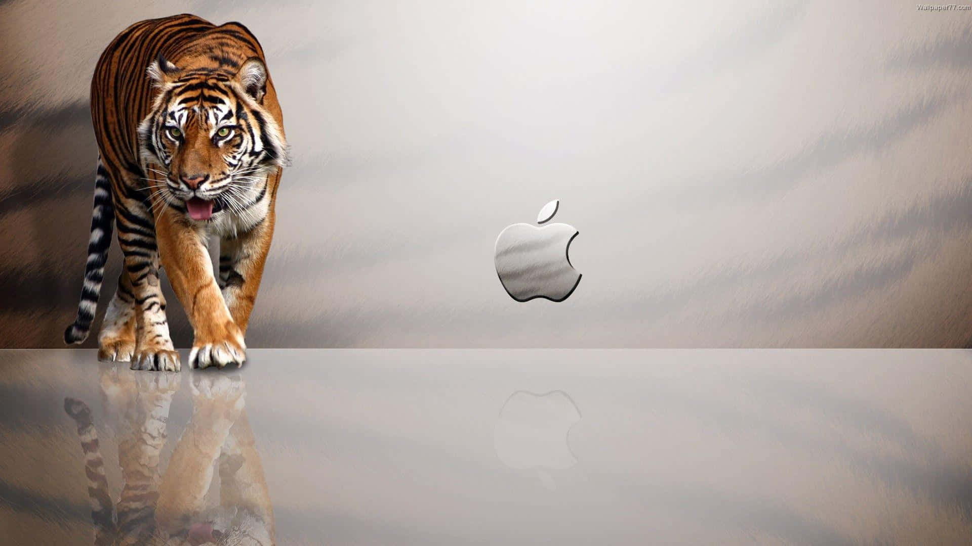 1920x1080 Apple 背景 虎紋 壁紙