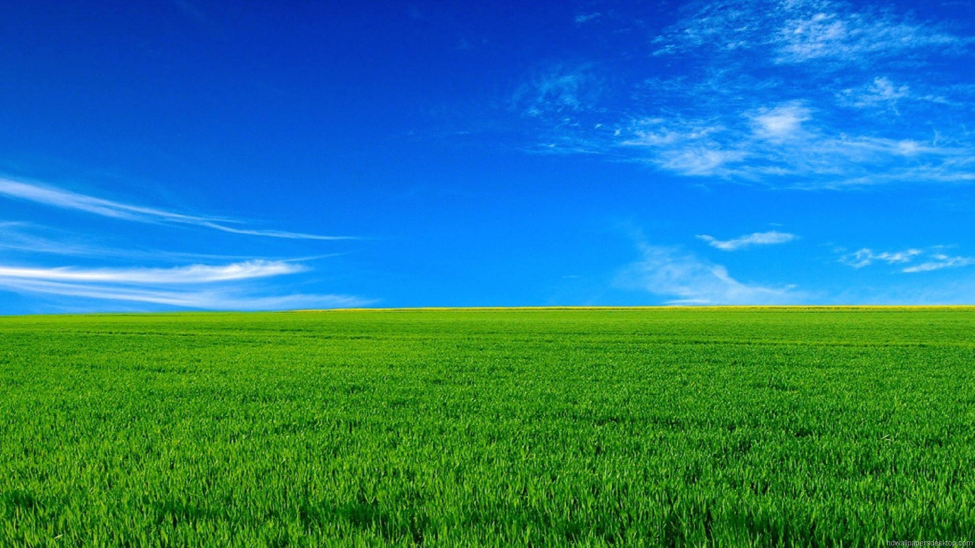 1920x1080 全高清自然绿草蓝天 — 天空 壁紙