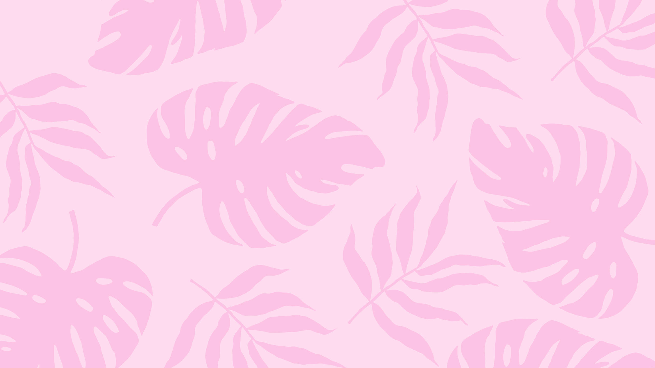 2560x1440 夏日植物粉色美學 壁紙