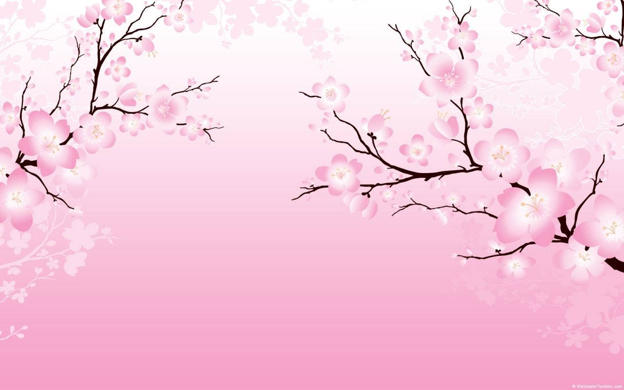 2D 櫻花 壁紙