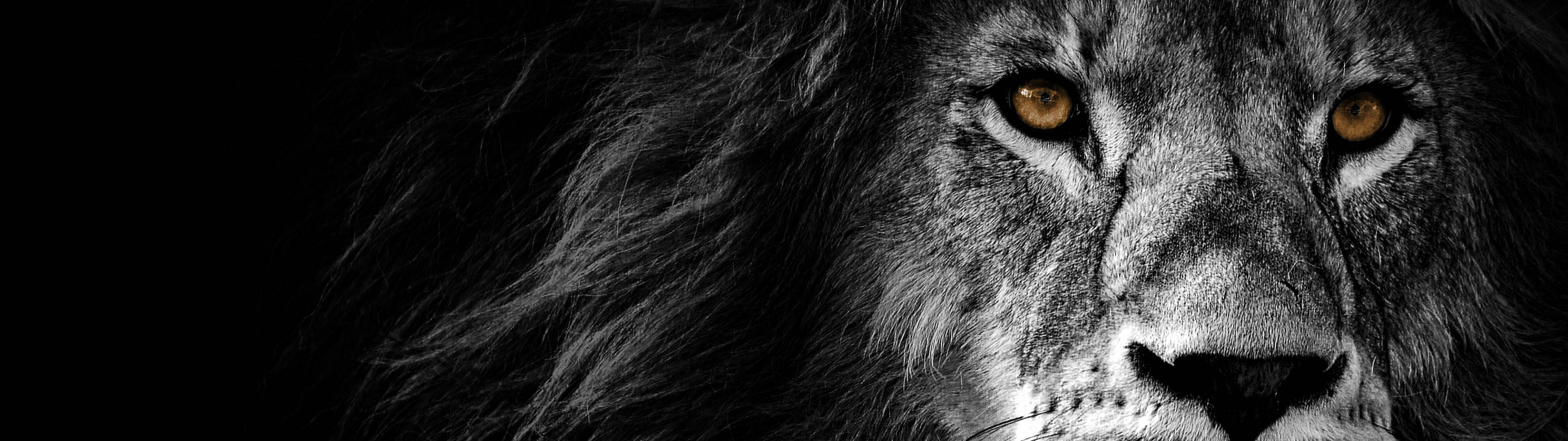 3840x1080 4K 獅子金瞳 壁紙