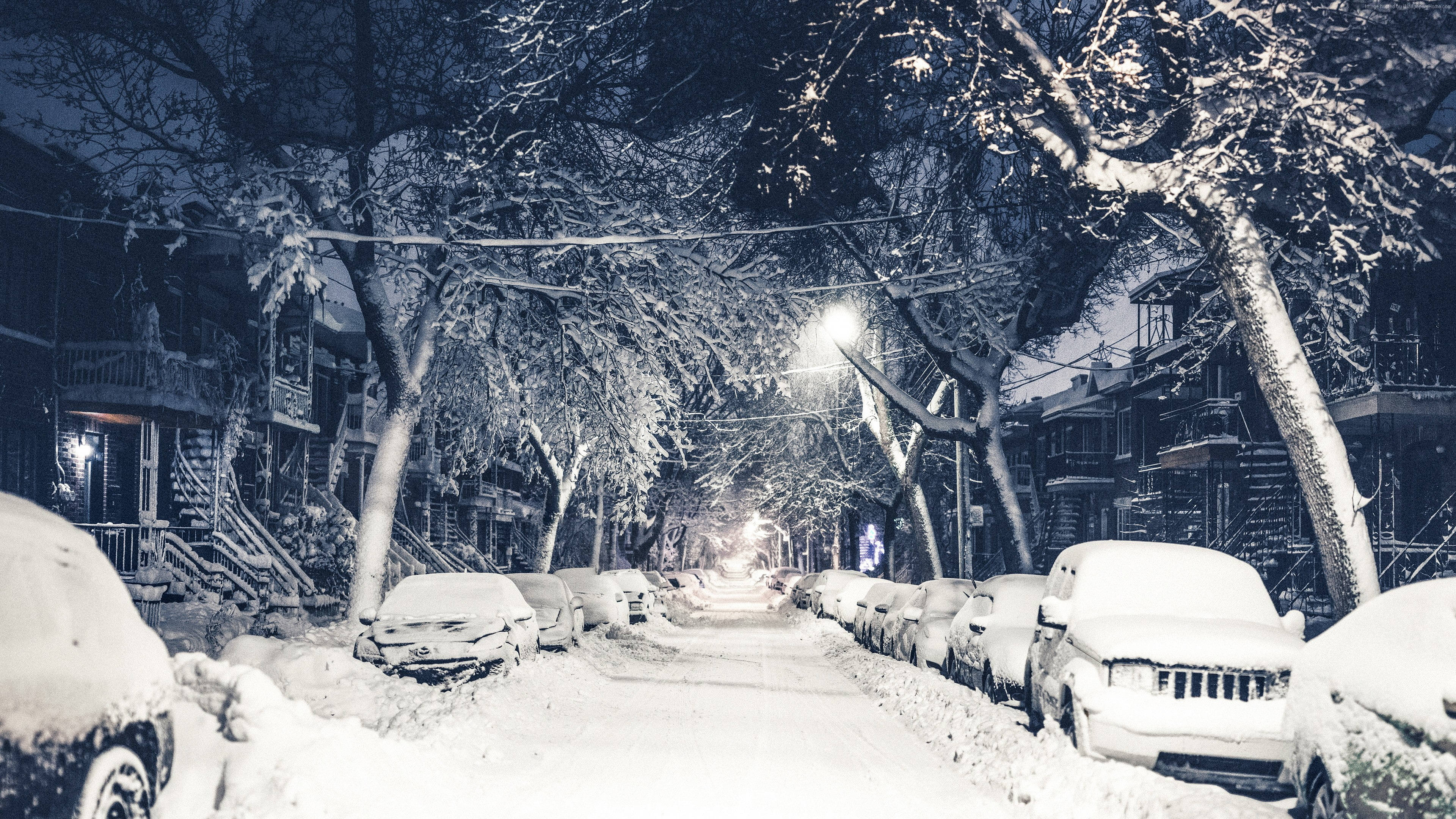 紐約自然赫布斯特公園雪景4K 壁紙