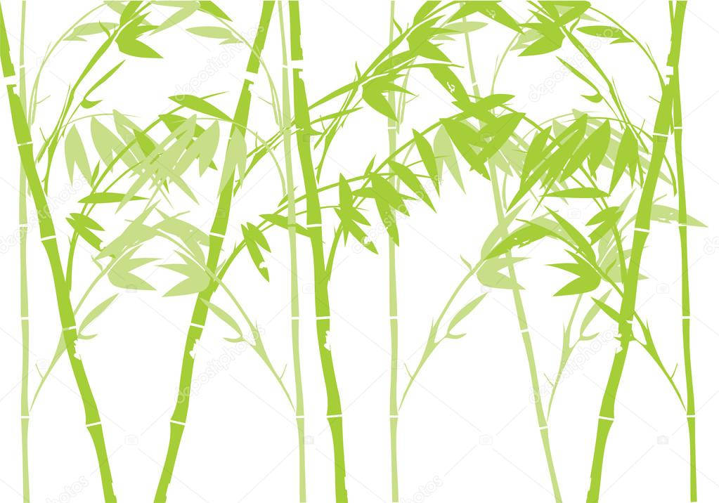 竹子4K抽象艺术 壁紙