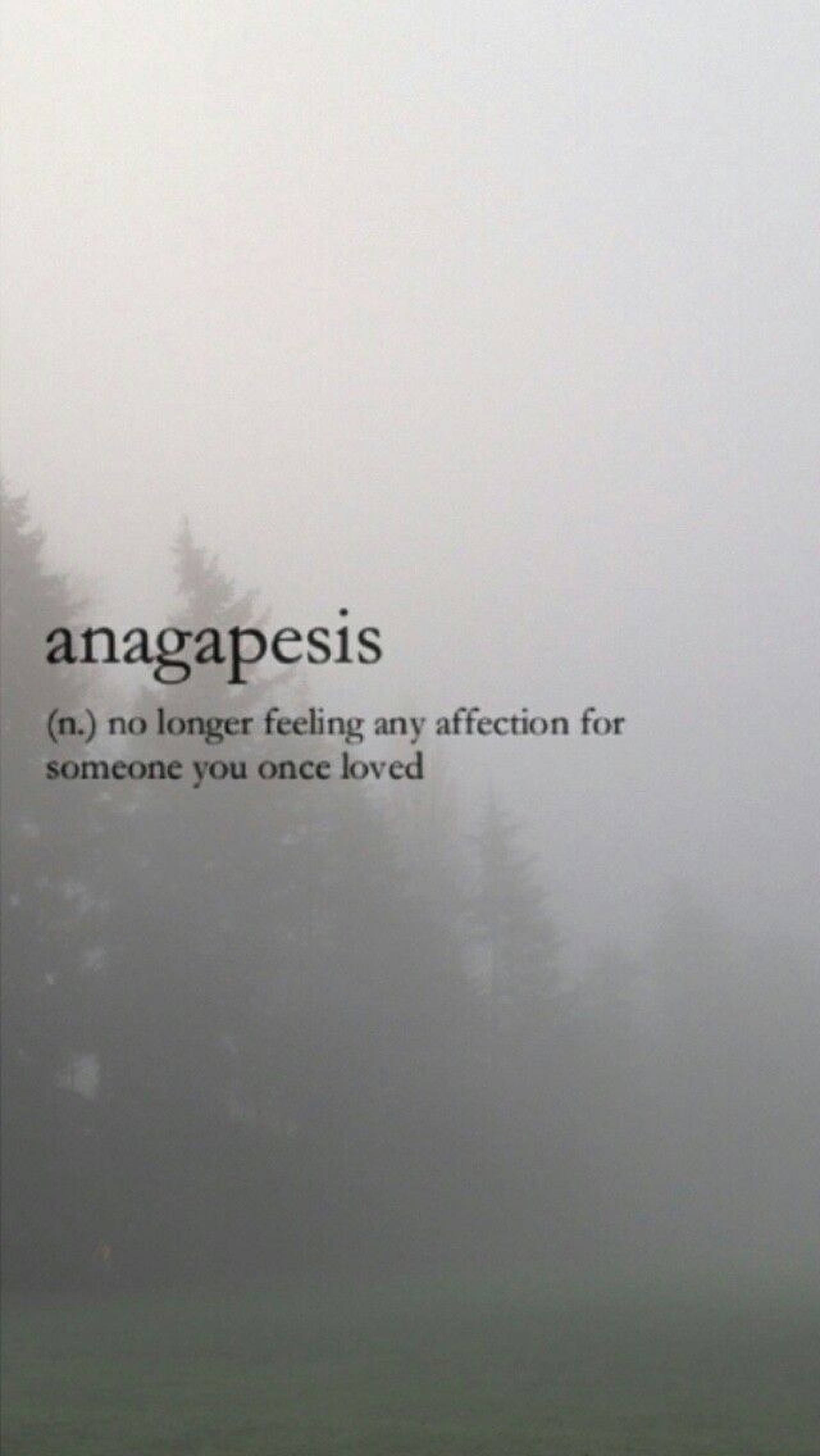 Anagapesis 美學詞彙 壁紙