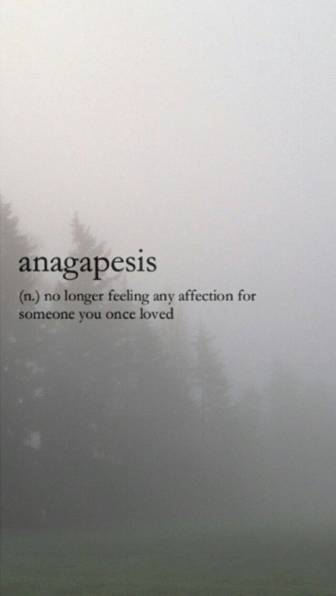 Anagapesis 美學詞彙桌布