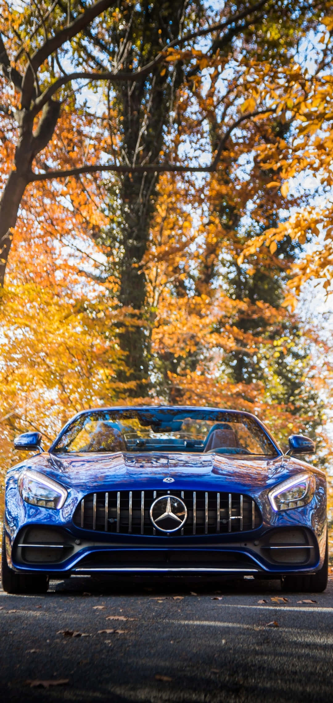 Android AMG GT-R 黃色樹葉背景 壁紙