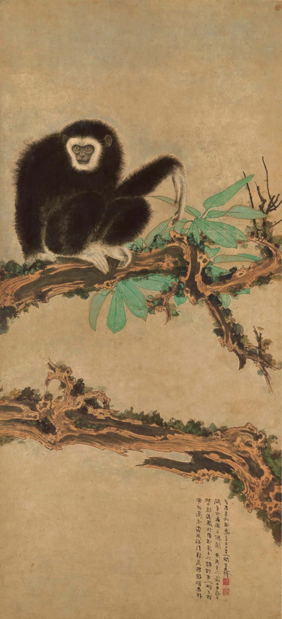 一只长臂猿坐在Android分支上 壁紙