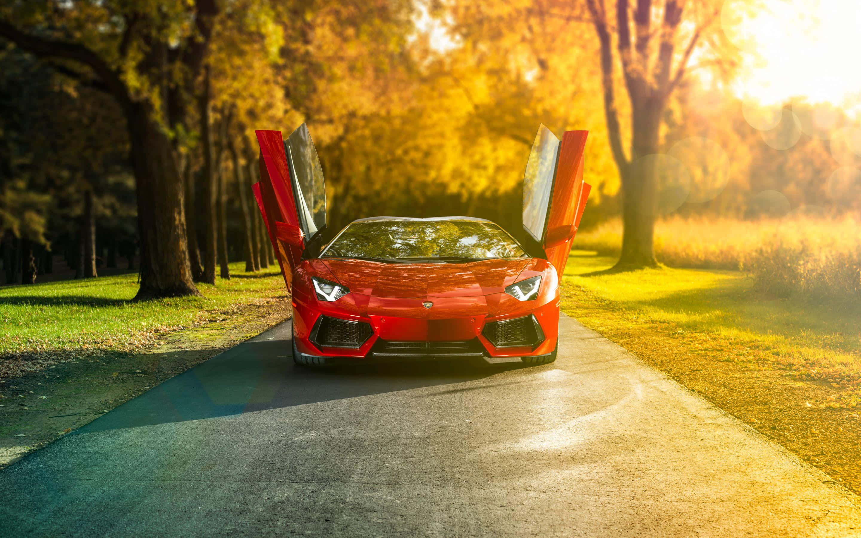 敞门兰博基尼Aventador 壁紙