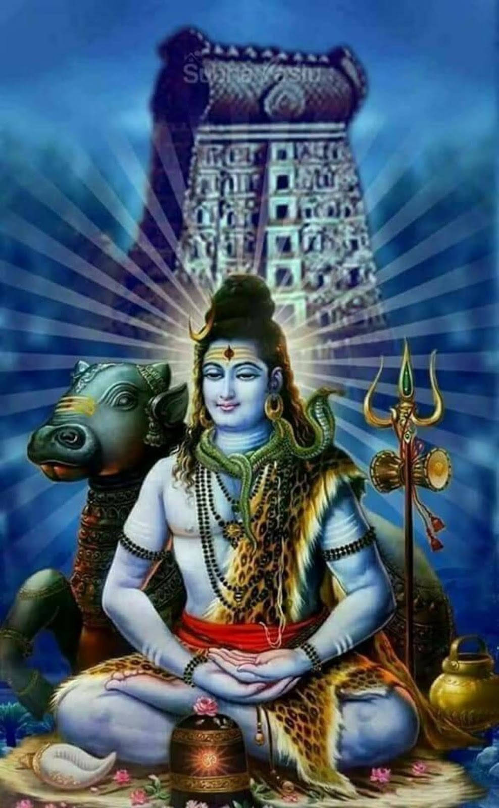 Bholenath HD Shiva 蓮花姿勢 Nandi 公牛 壁紙