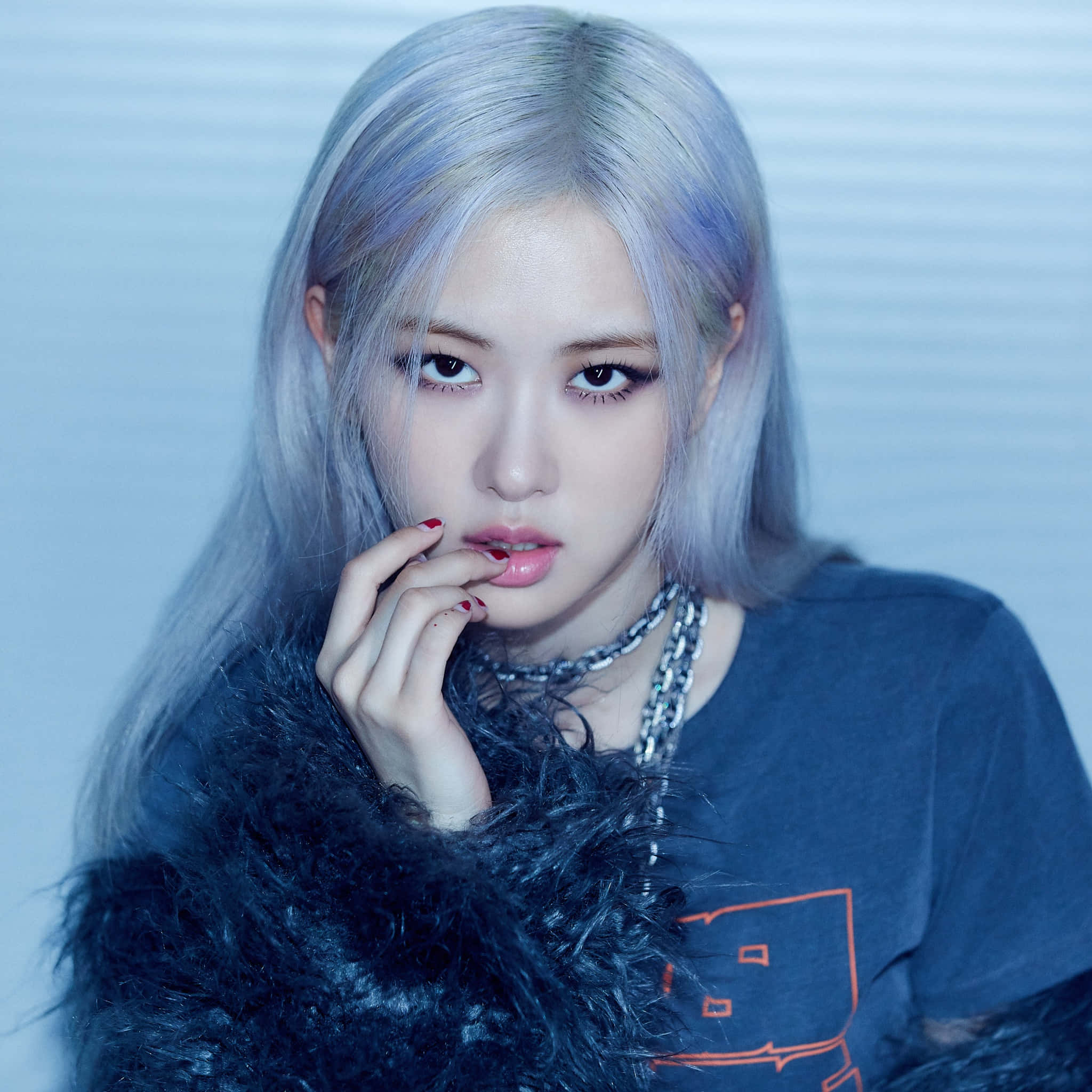 BLACKPINK Rosé 灰色髮型毛絨外套大頭照靈感 壁紙