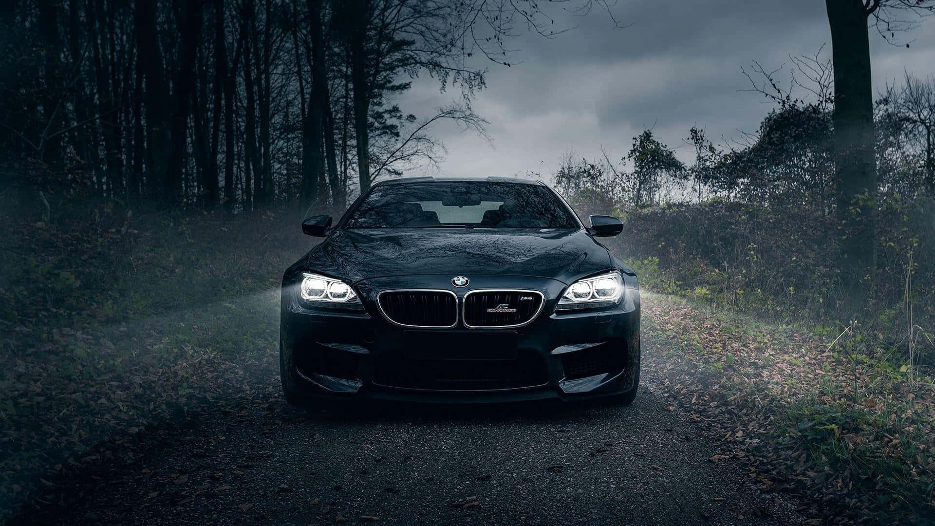 BMW 夜駛森林 1920x1080 壁紙