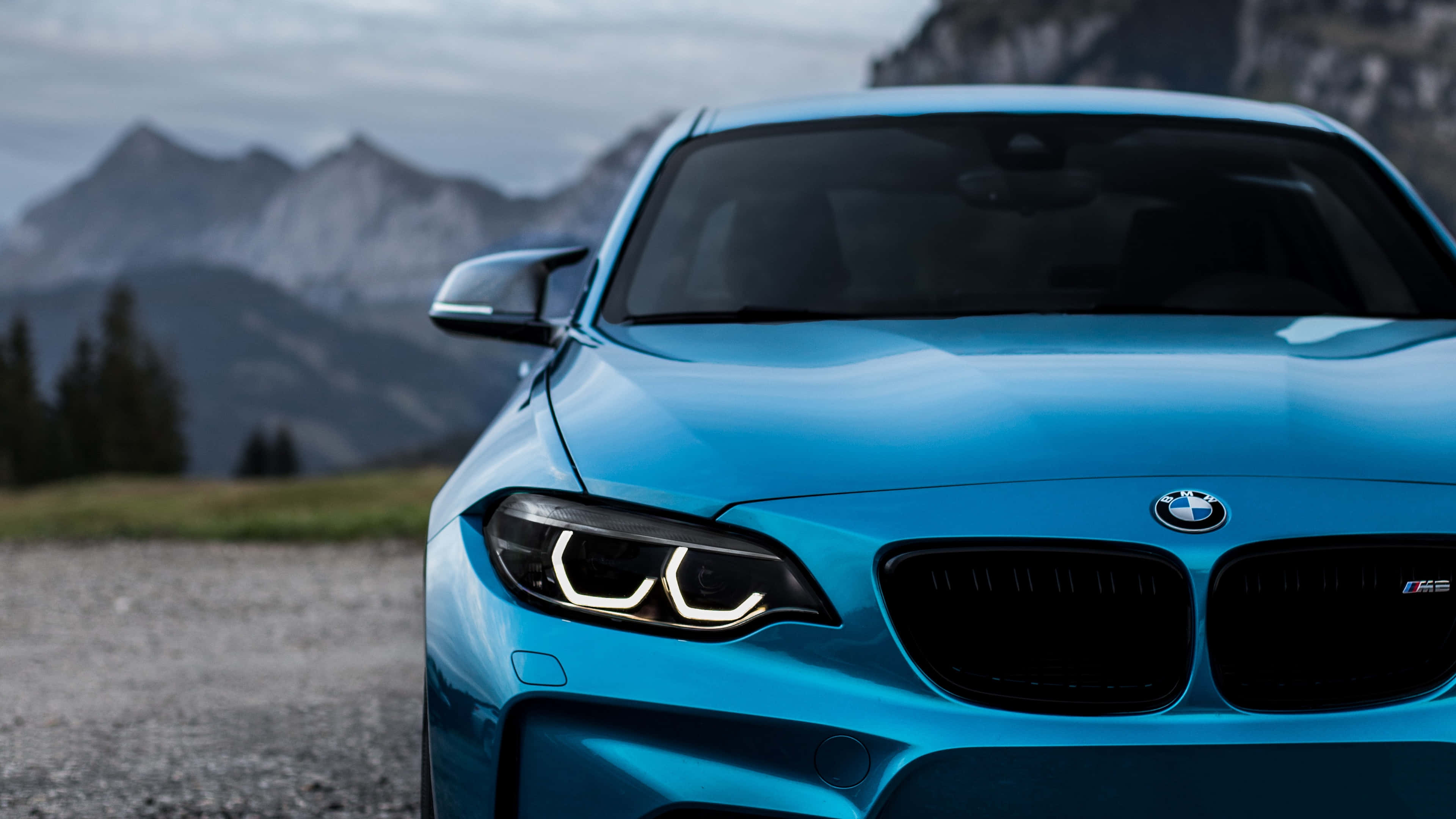 運動與優雅的BMW 壁紙