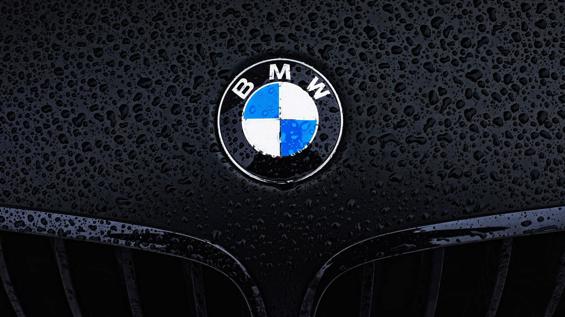 BMW 筆電特寫標誌 壁紙