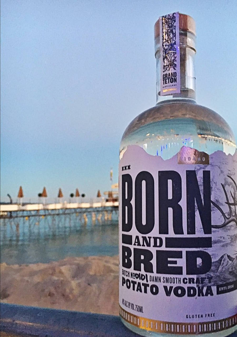 Born And Bred 罗斯科·谢尔顿 壁紙