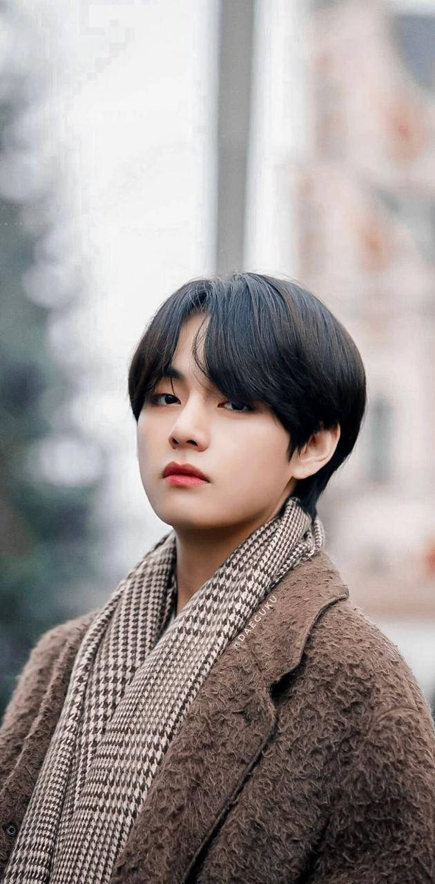 BTS V 冬季棕色穿搭 壁紙