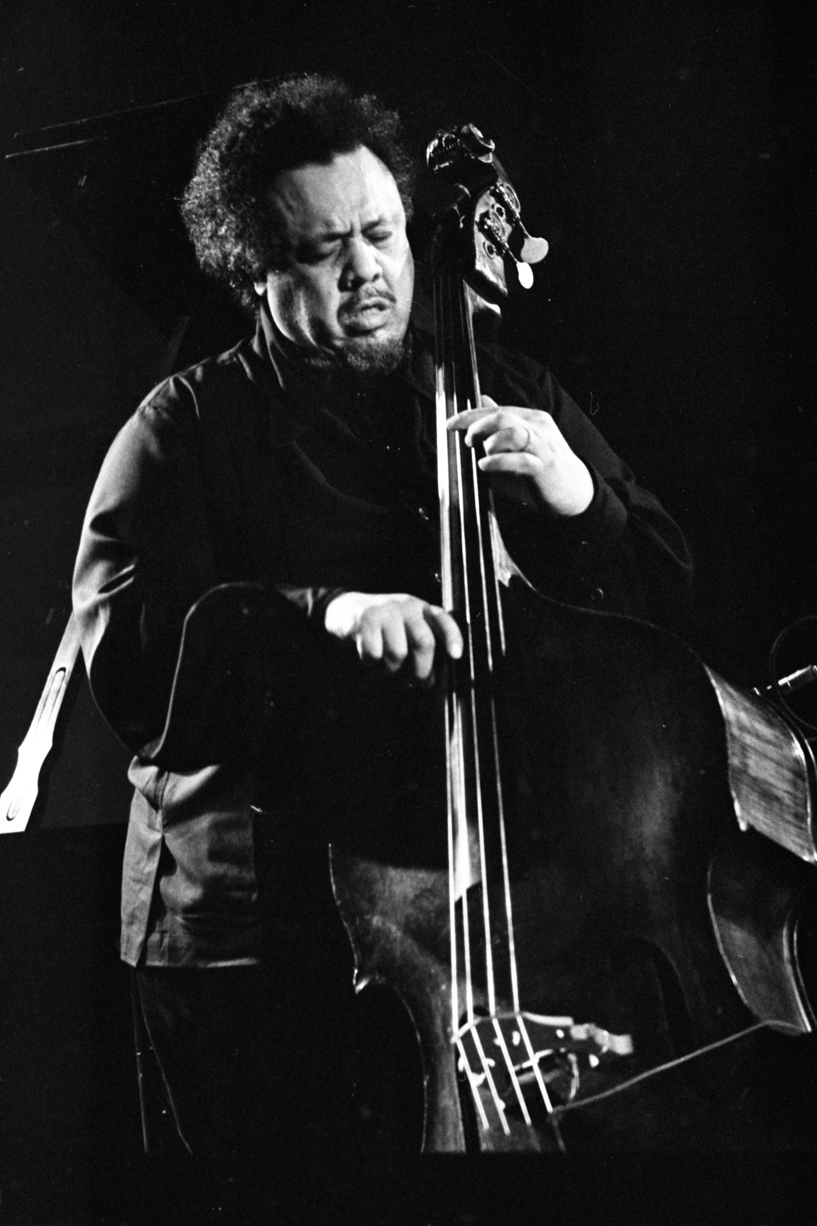Charles Mingus 深情弹奏低音吉他 壁紙