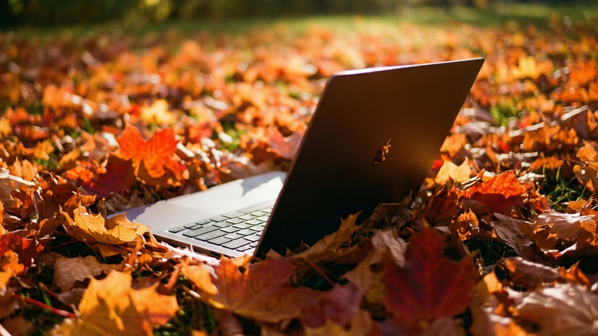 秋日Chromebook溫馨壁紙 壁紙