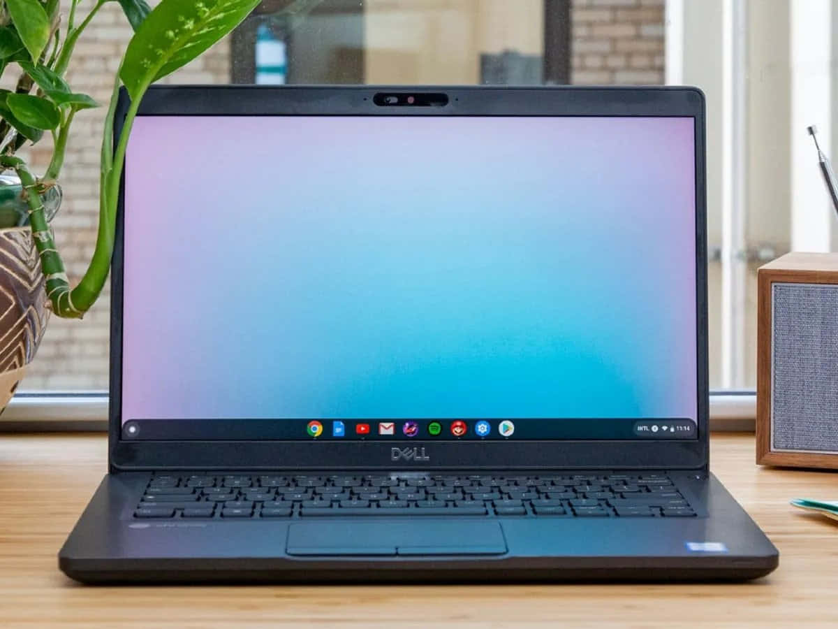 Chromebook 登场：一款平价且精致的笔记本电脑 壁紙