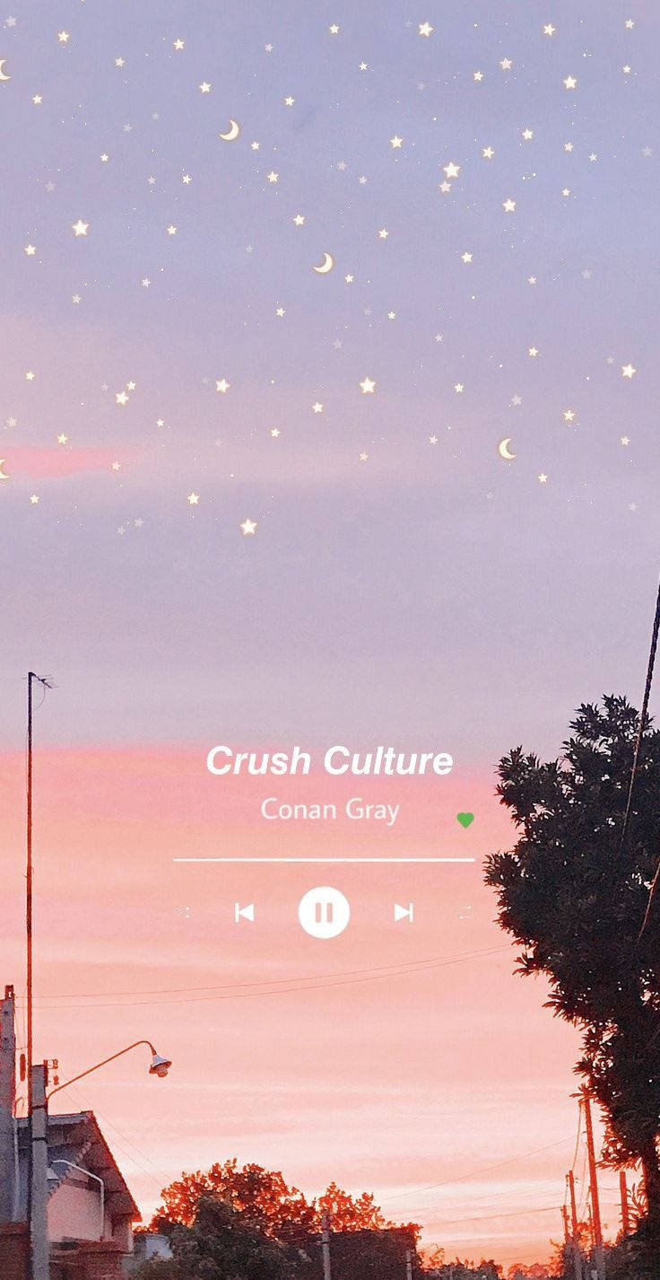 Conan Gray 音樂美學 壁紙