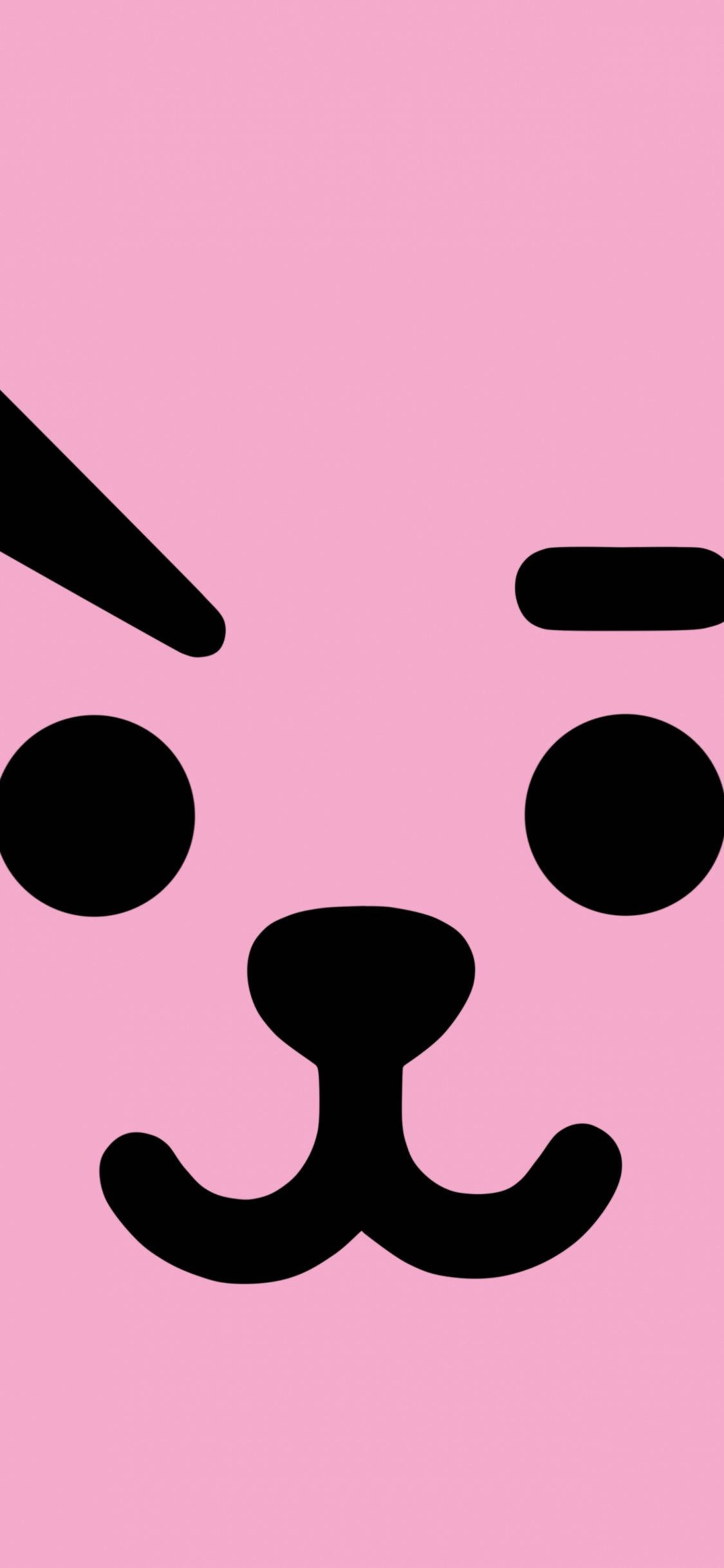 Cooky Bt21 全脸 壁紙