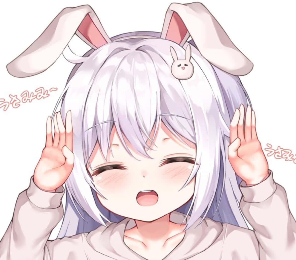 Discord 动漫头像 快乐兔耳少女 壁紙