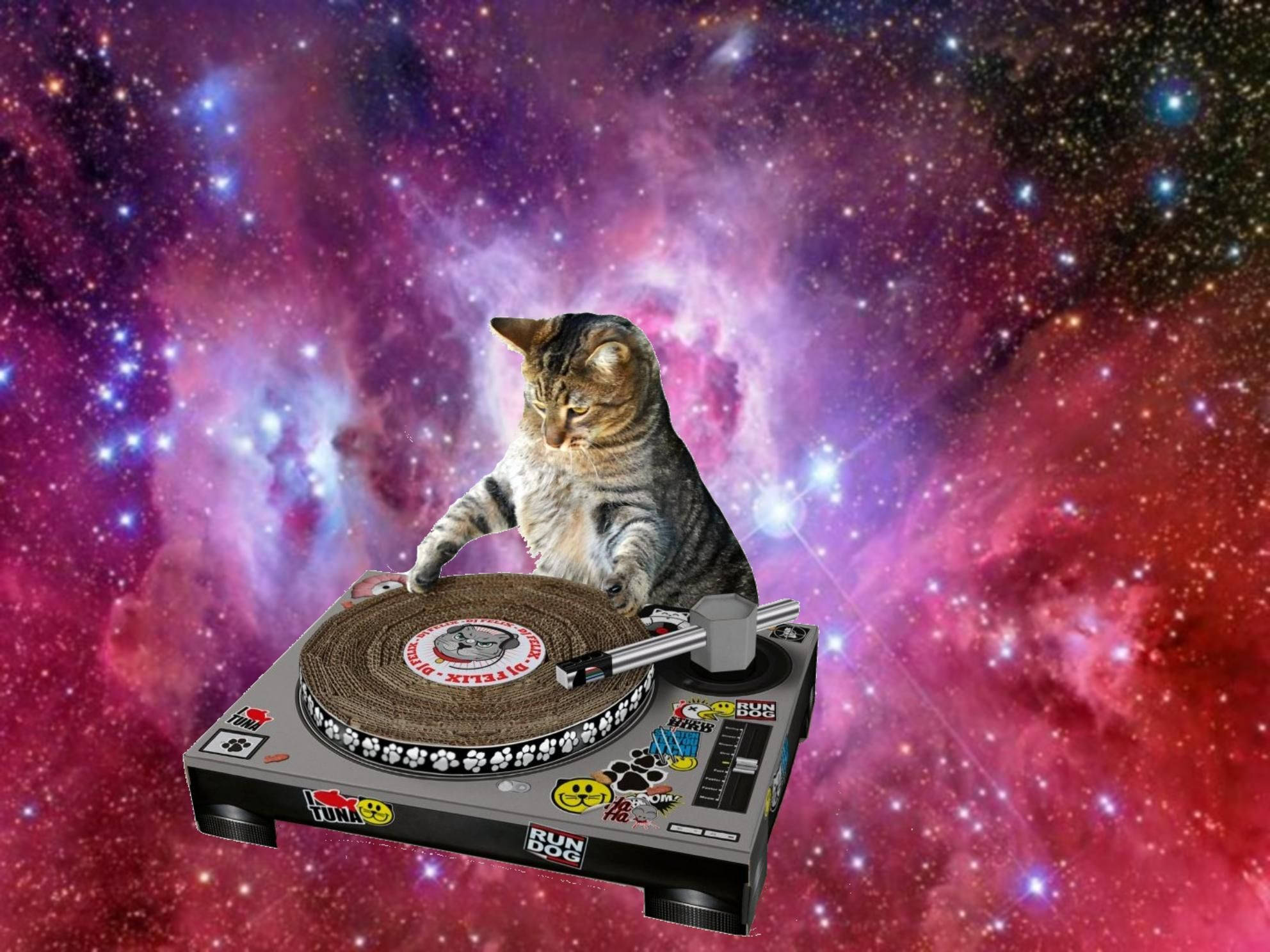 搞笑太空貓DJ 壁紙