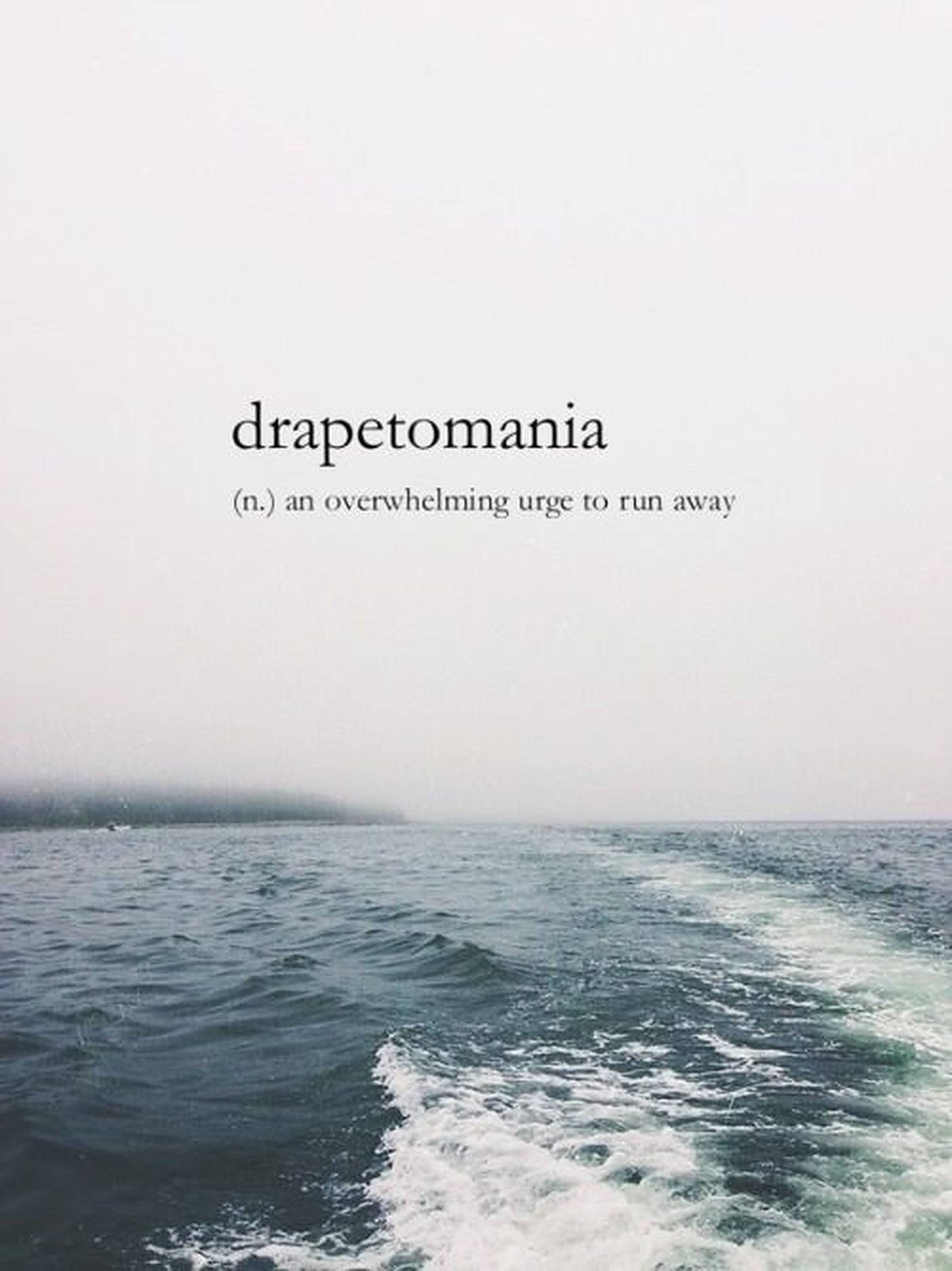 Drapetomania 美學字詞 壁紙