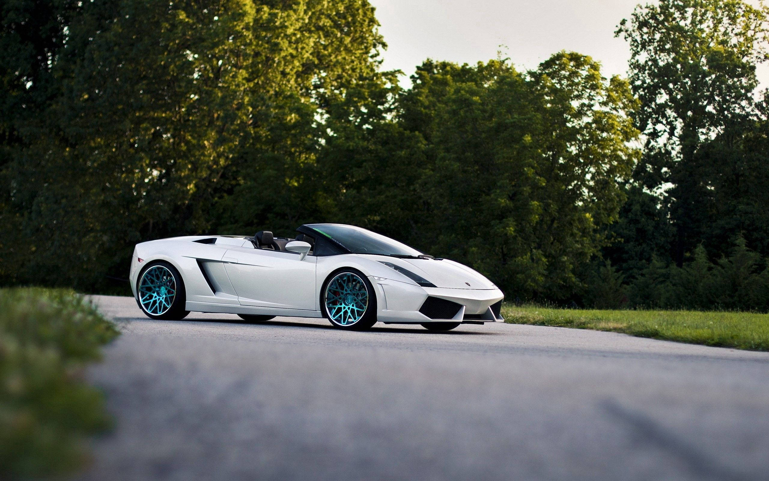 白色敞篷藍寶堅尼Gallardo Spyder 壁紙