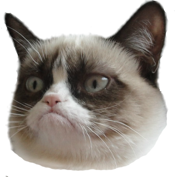 Grumpy Cat 頭部透明背景.PNG 壁紙