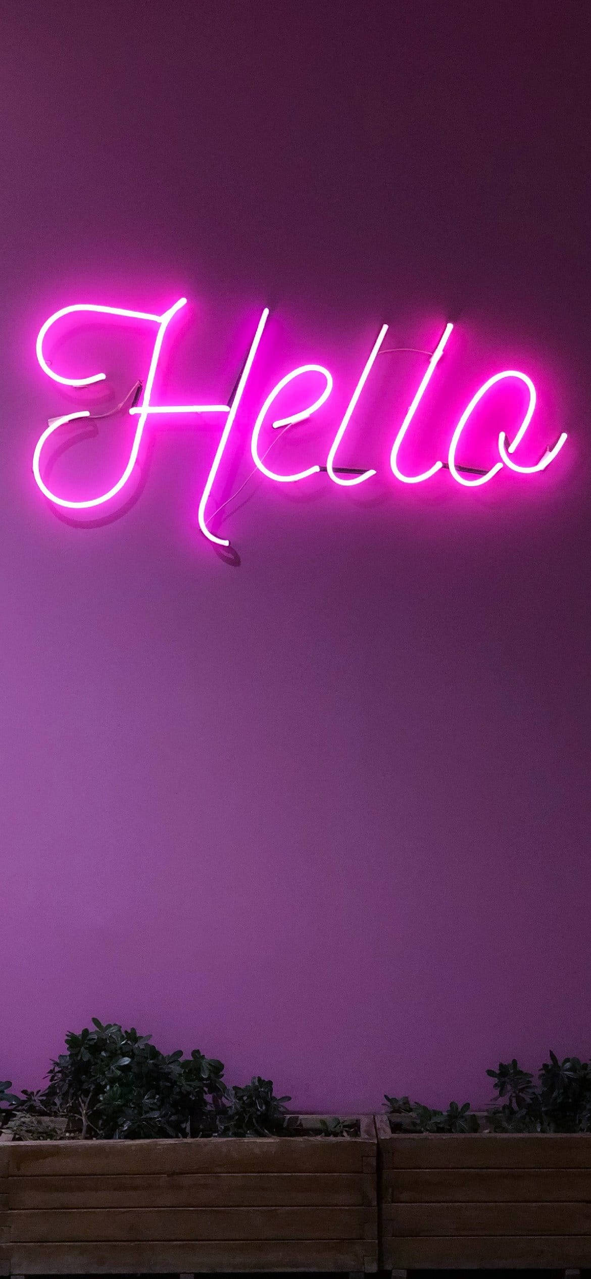 淺紫色霓虹燈「Hello」美學 壁紙