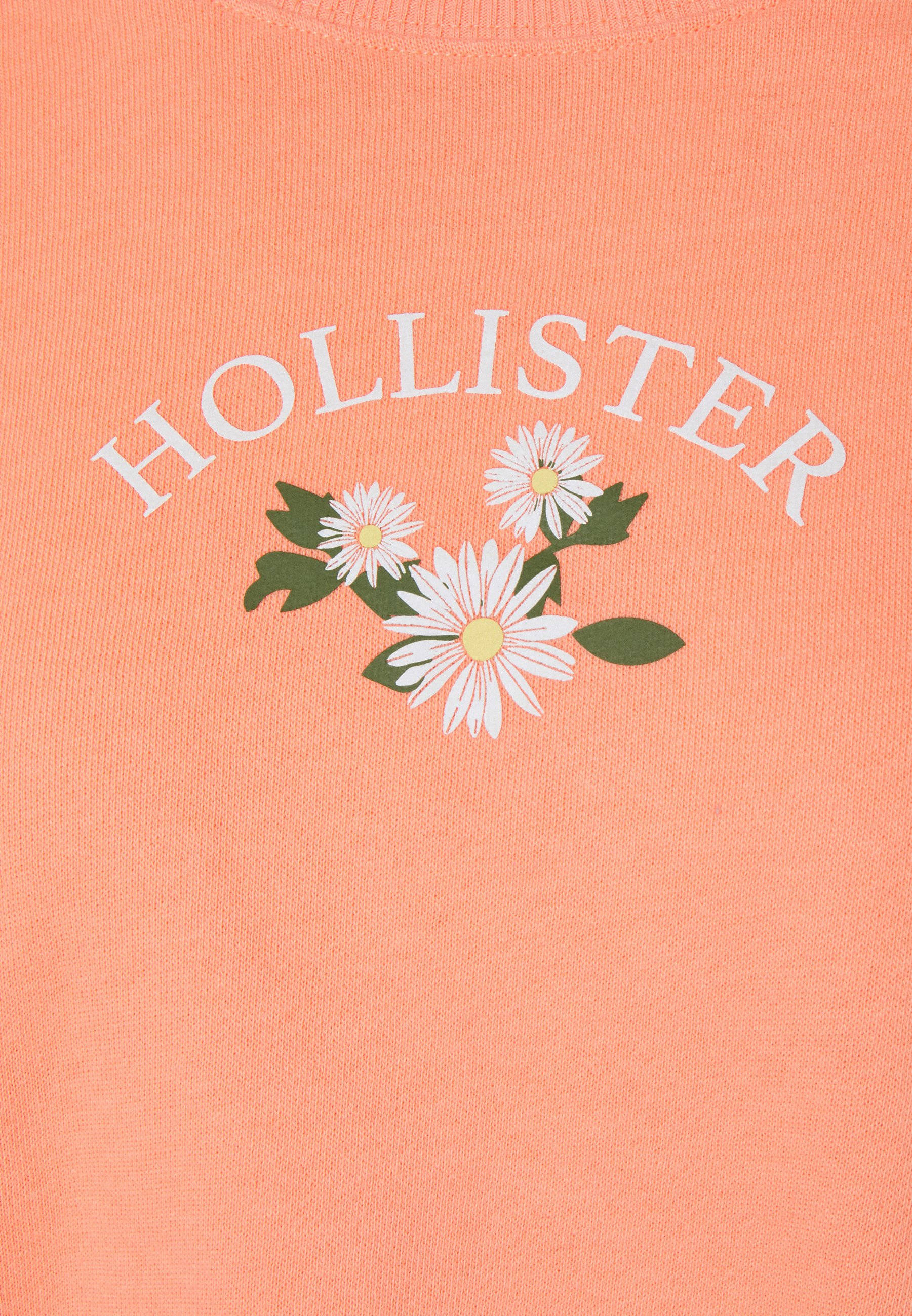 Hollister Three White Flower Illustration 壁紙
