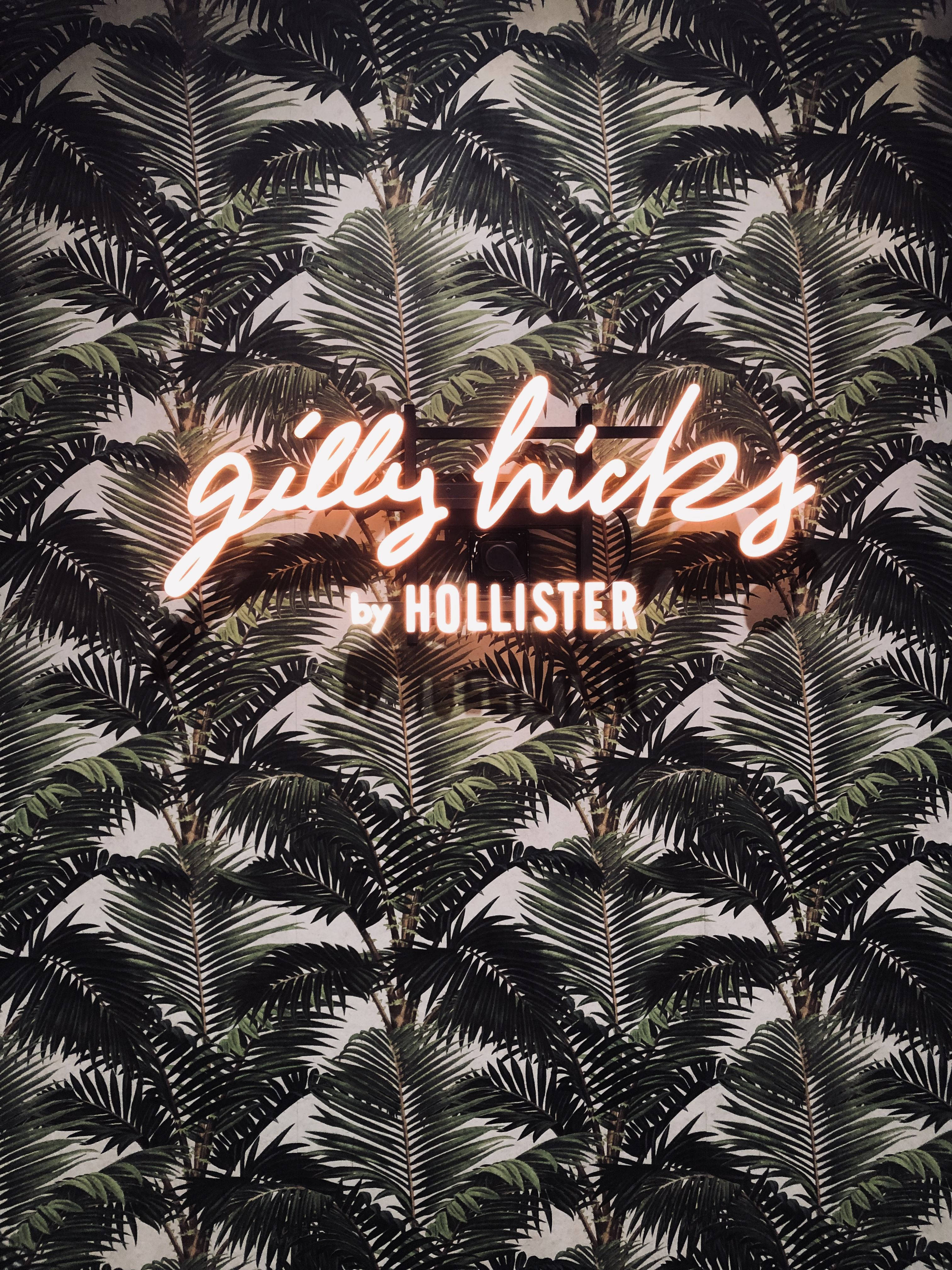 Hollister 棕櫚樹葉 壁紙