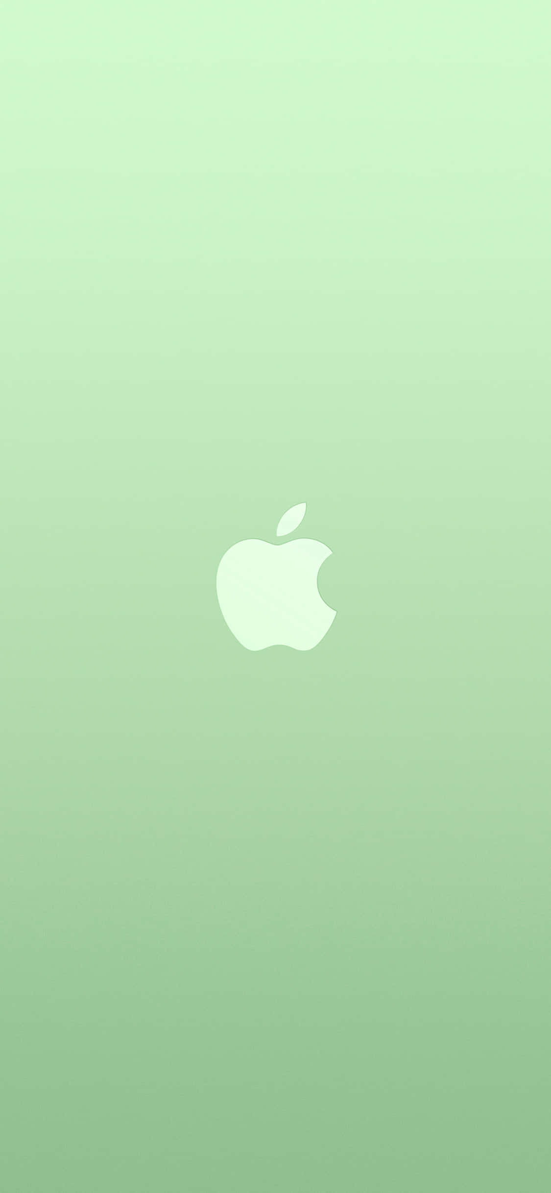 iPhone 11 Apple標誌綠色背景 壁紙