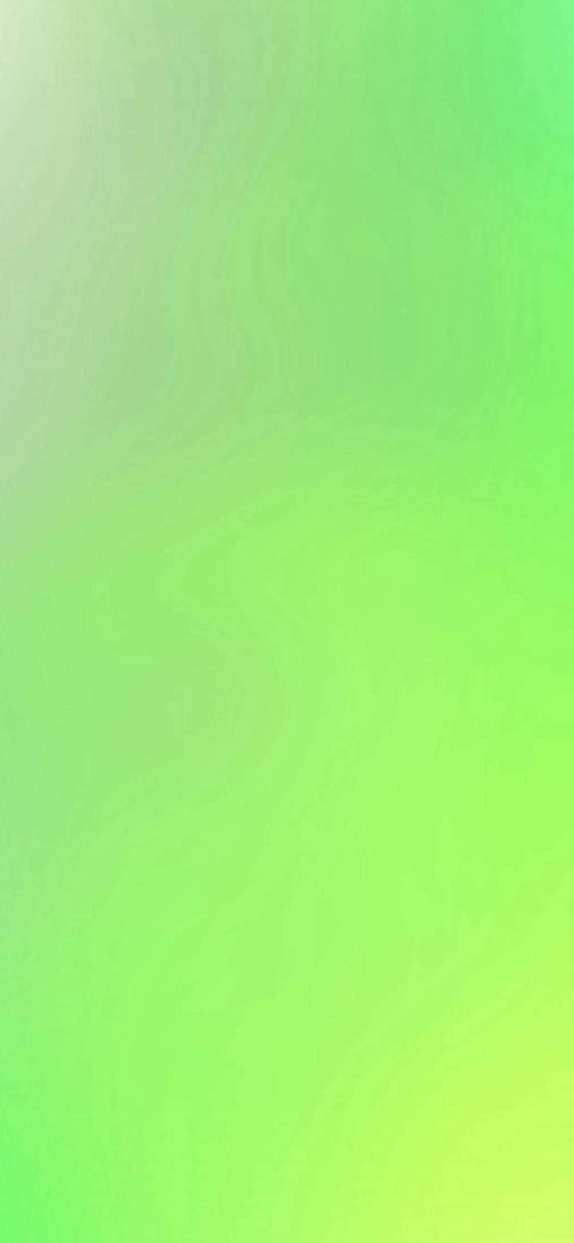 iPhone 11 清新綠 壁紙