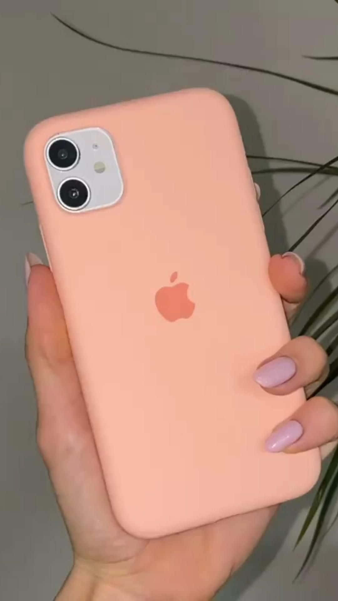 iPhone 12 图片 壁紙