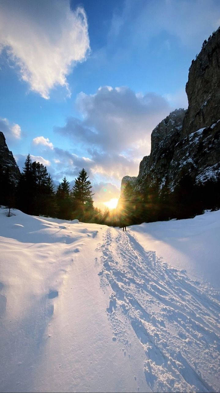 雪景美徑 iPhone 桌布 壁紙