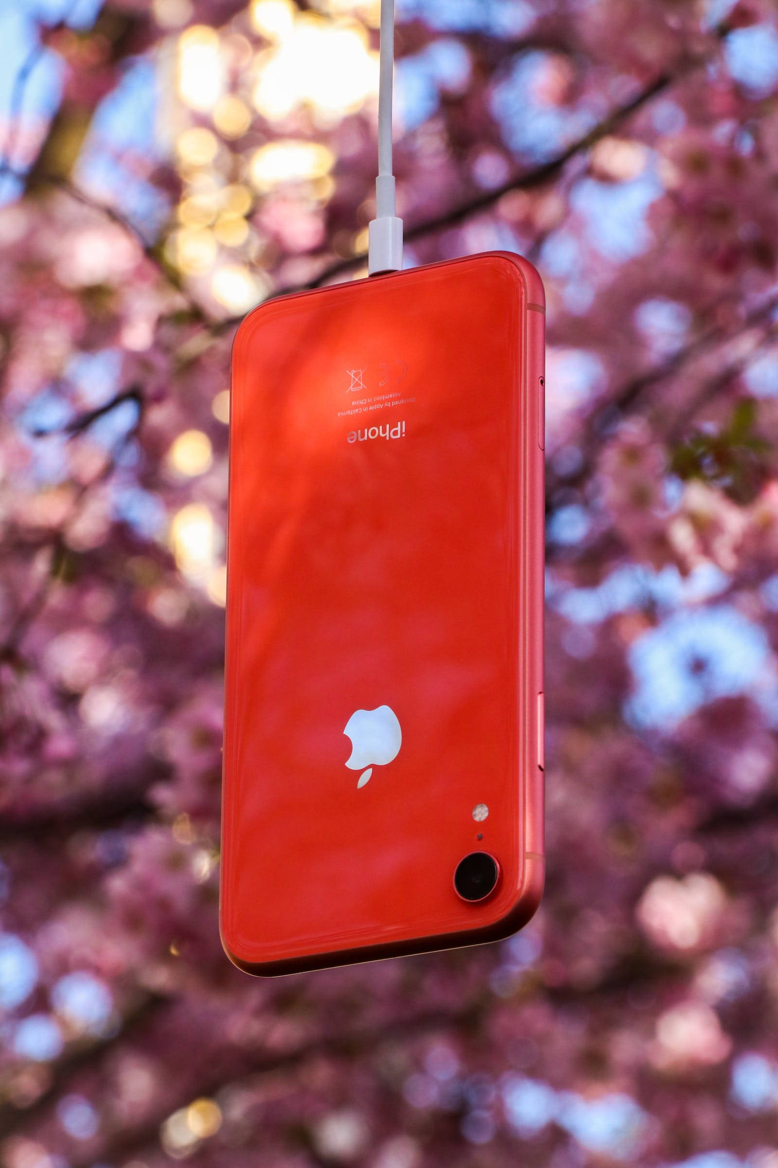 自然紅 iPhone 壁紙