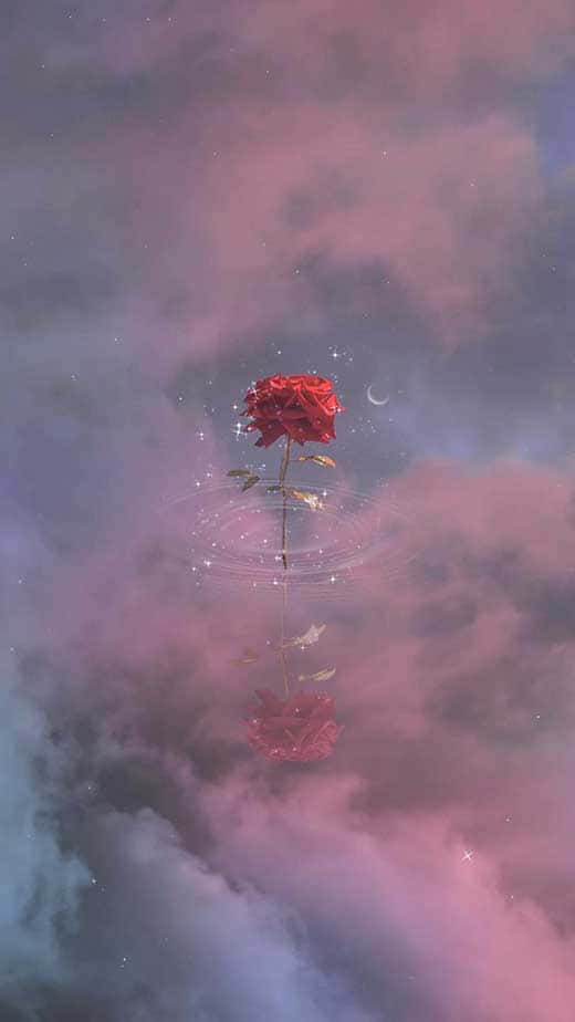 美學iPhone背景 壁紙