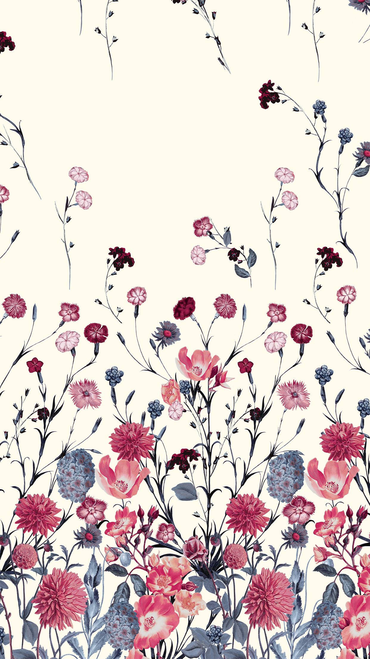 红蓝花卉iPhone 壁紙