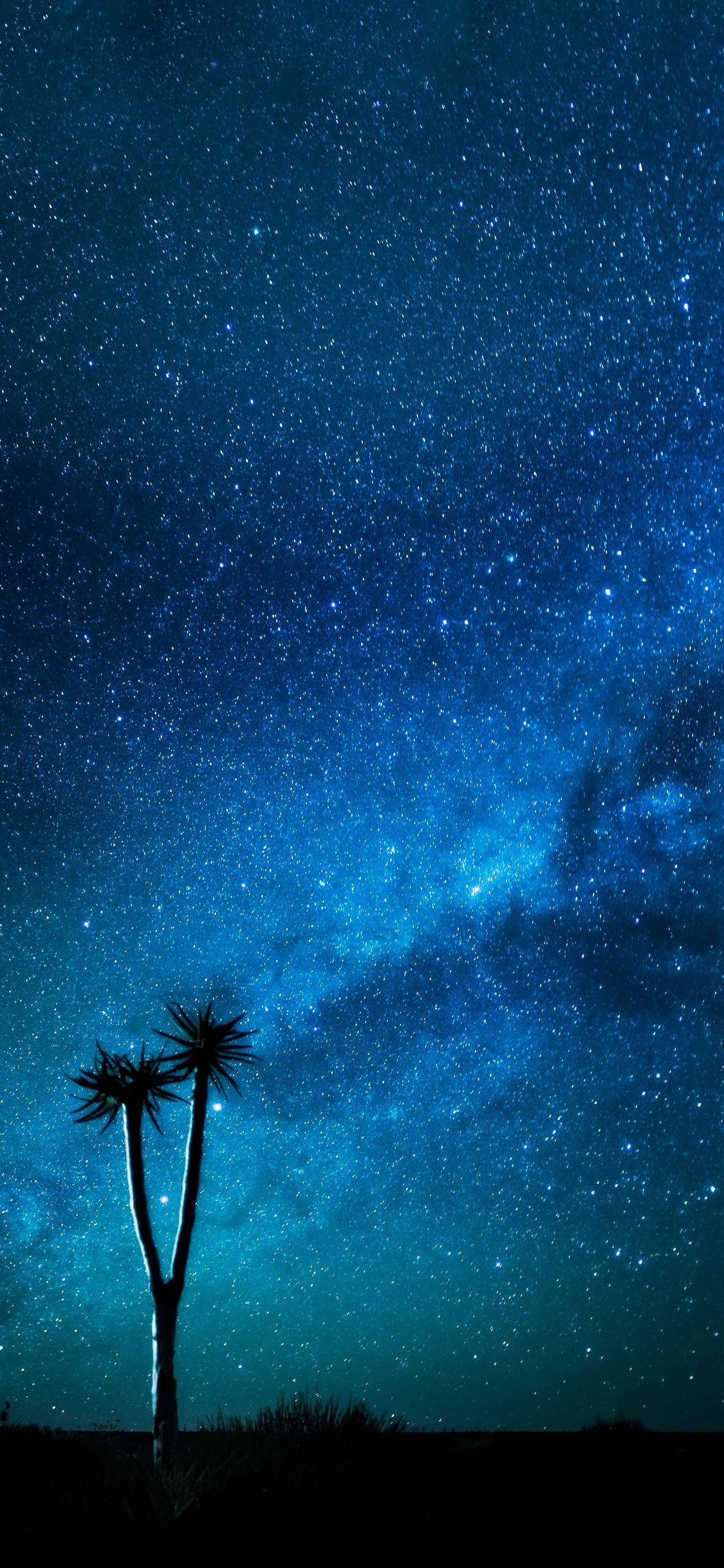 星空夜蓝iPhone 壁紙