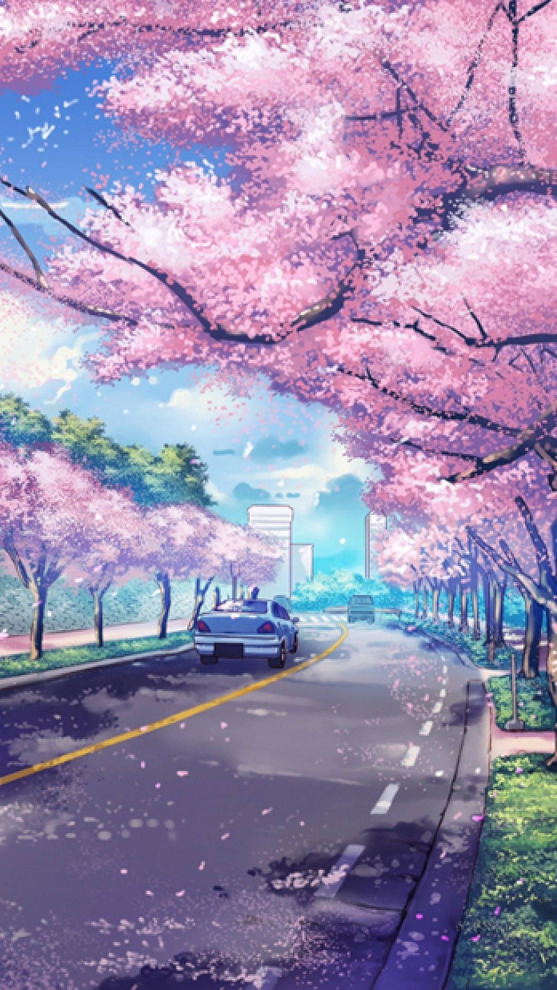 動漫櫻花 iPhone 壁紙