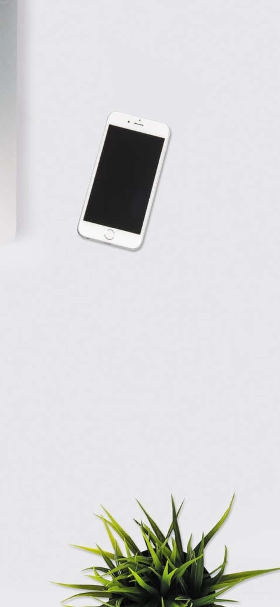 iPhone X 桌面背景 白色電話與室內植物 壁紙