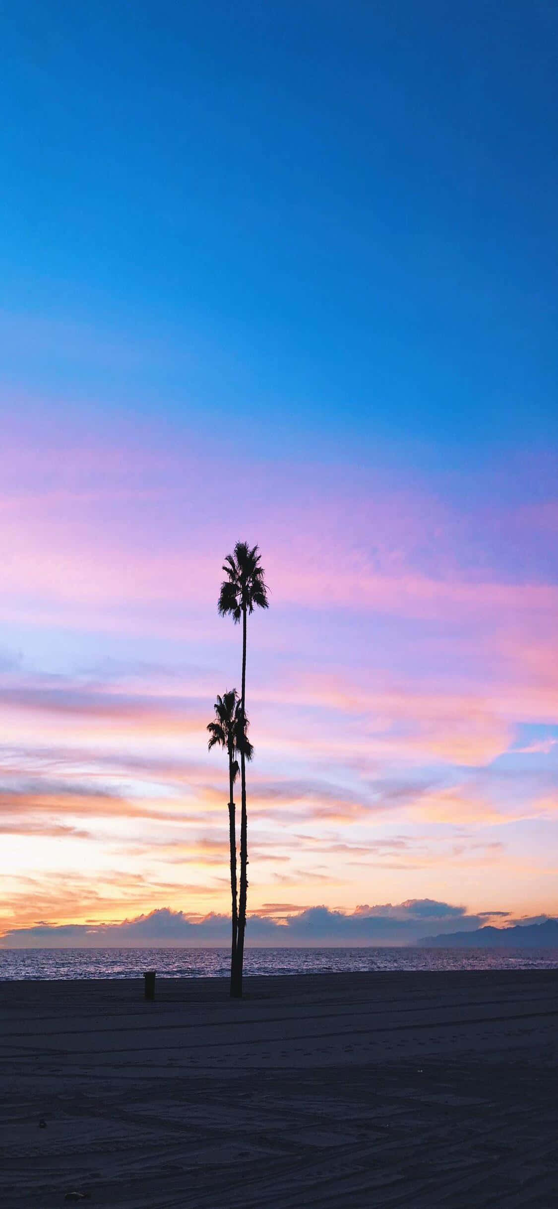 用iPhone X California享受黄金之州的生活 壁紙