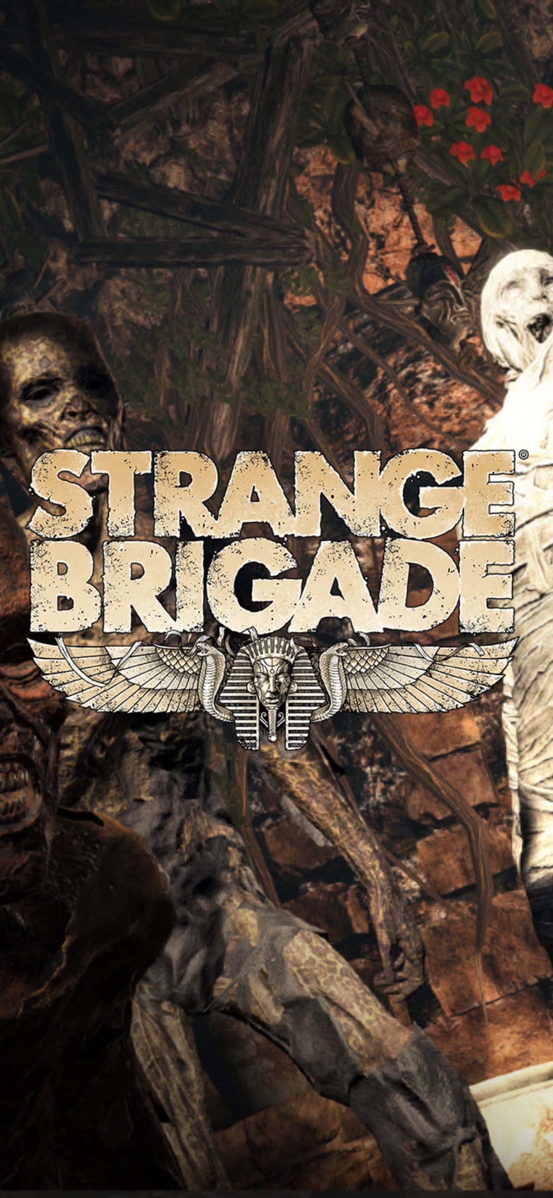 恐怖骷髏殭屍 iPhone X Strange Brigade 背景 壁紙
