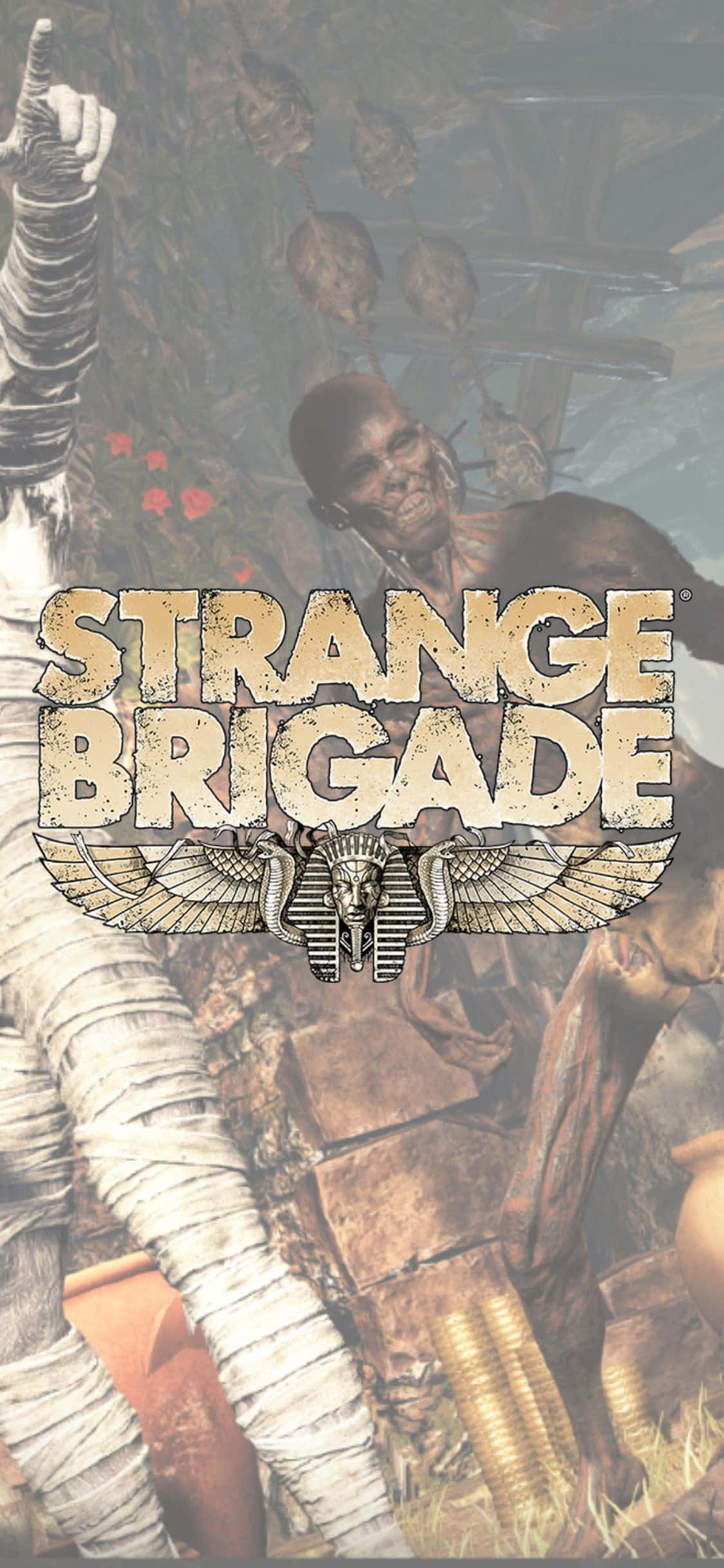 骷髏與纏繃殭屍 iPhone X Strange Brigade 背景 壁紙