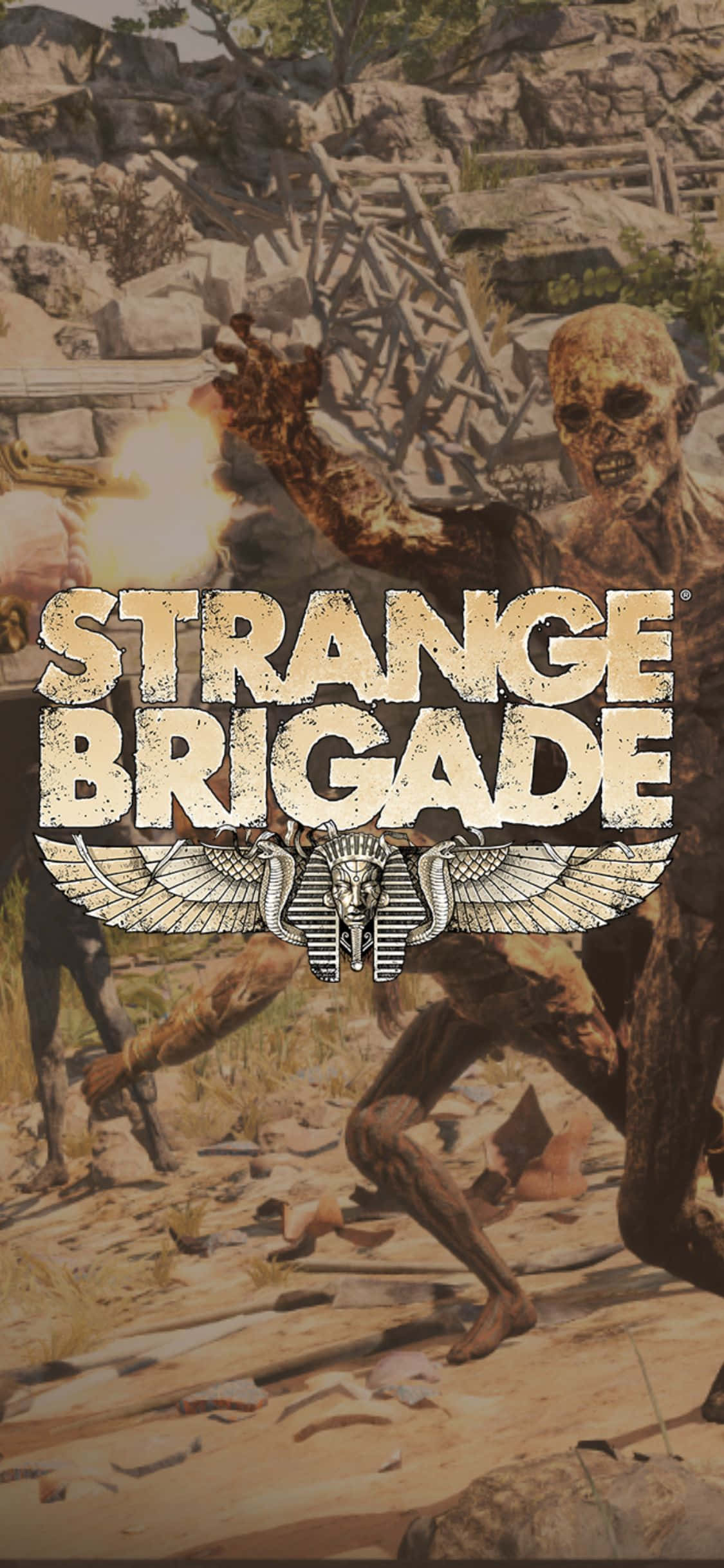 骷髏殭屍奔跑 iPhone X Strange Brigade 背景 壁紙