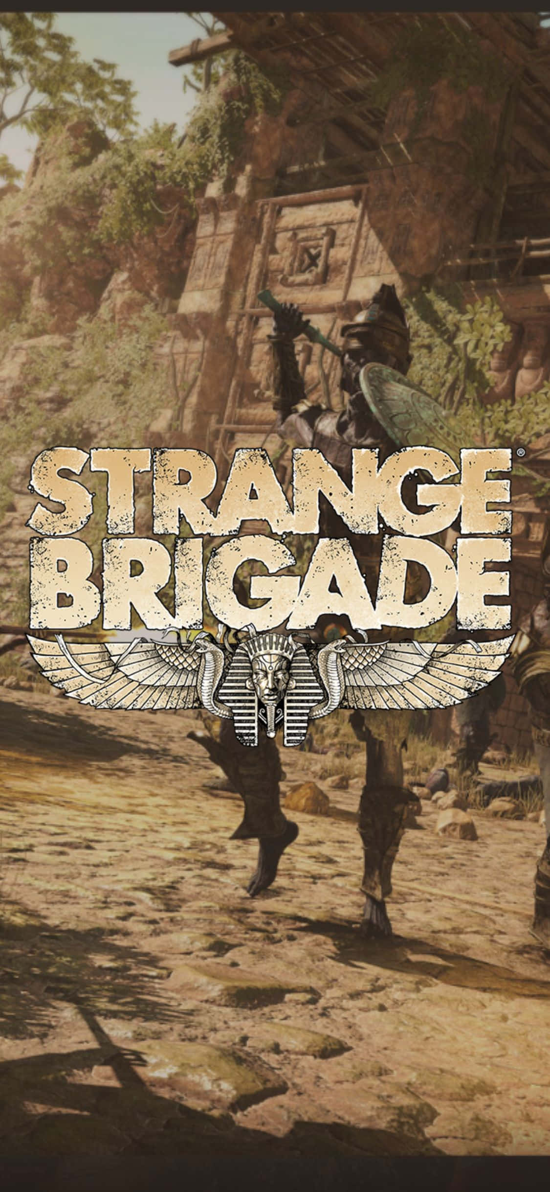 装甲骷髅僵尸 iPhone X Strange Brigade 背景 壁紙