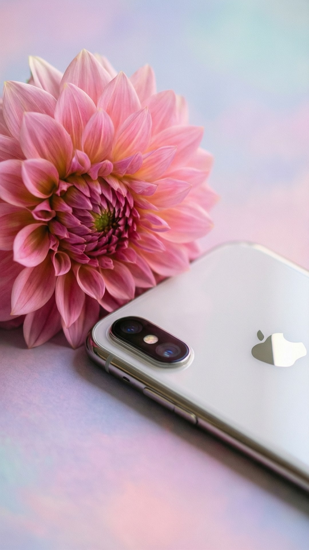 花卉優雅 iPhone XR 壁紙