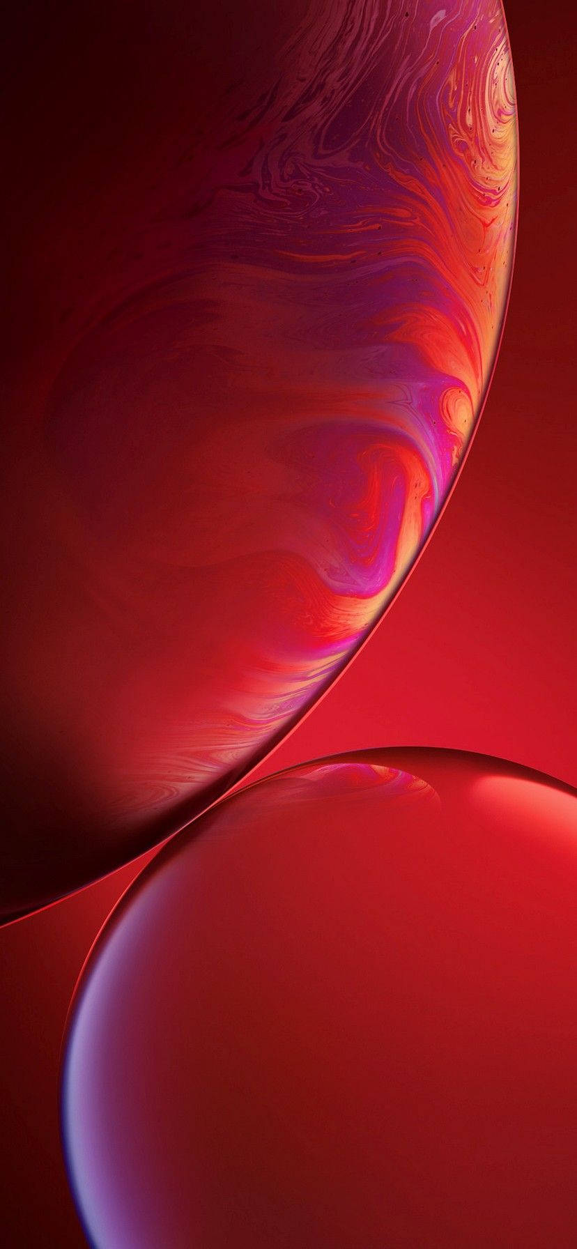 iPhone XR的鲜艳色彩为任何壁纸打造完美背景。 壁紙