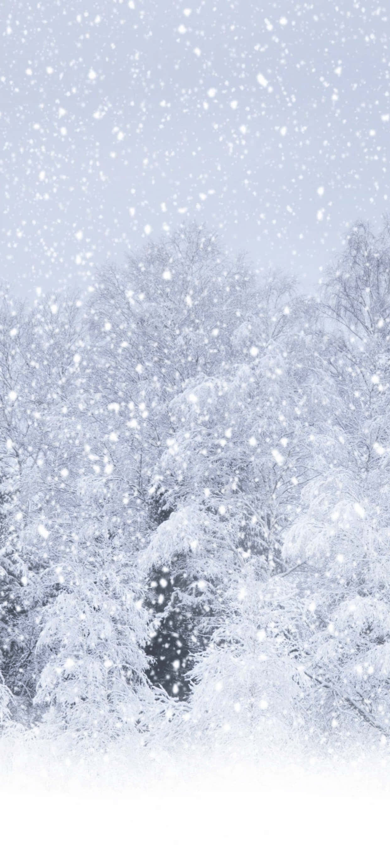 大雪纷飞 iPhone XS Max 冬季背景 壁紙